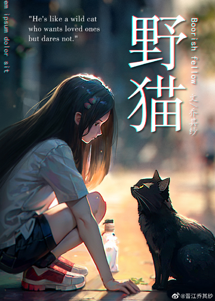 野猫