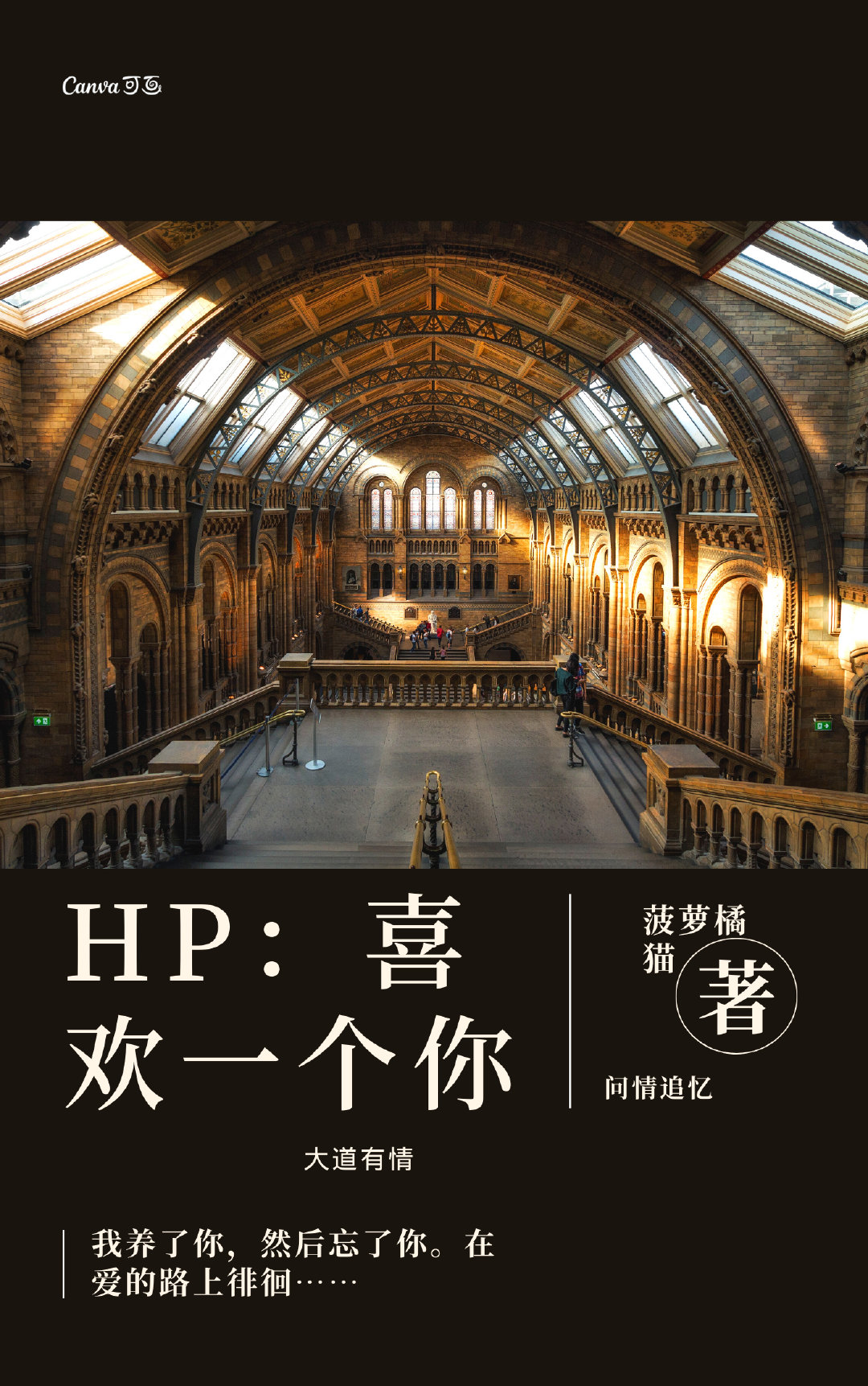 HP:喜欢一个你