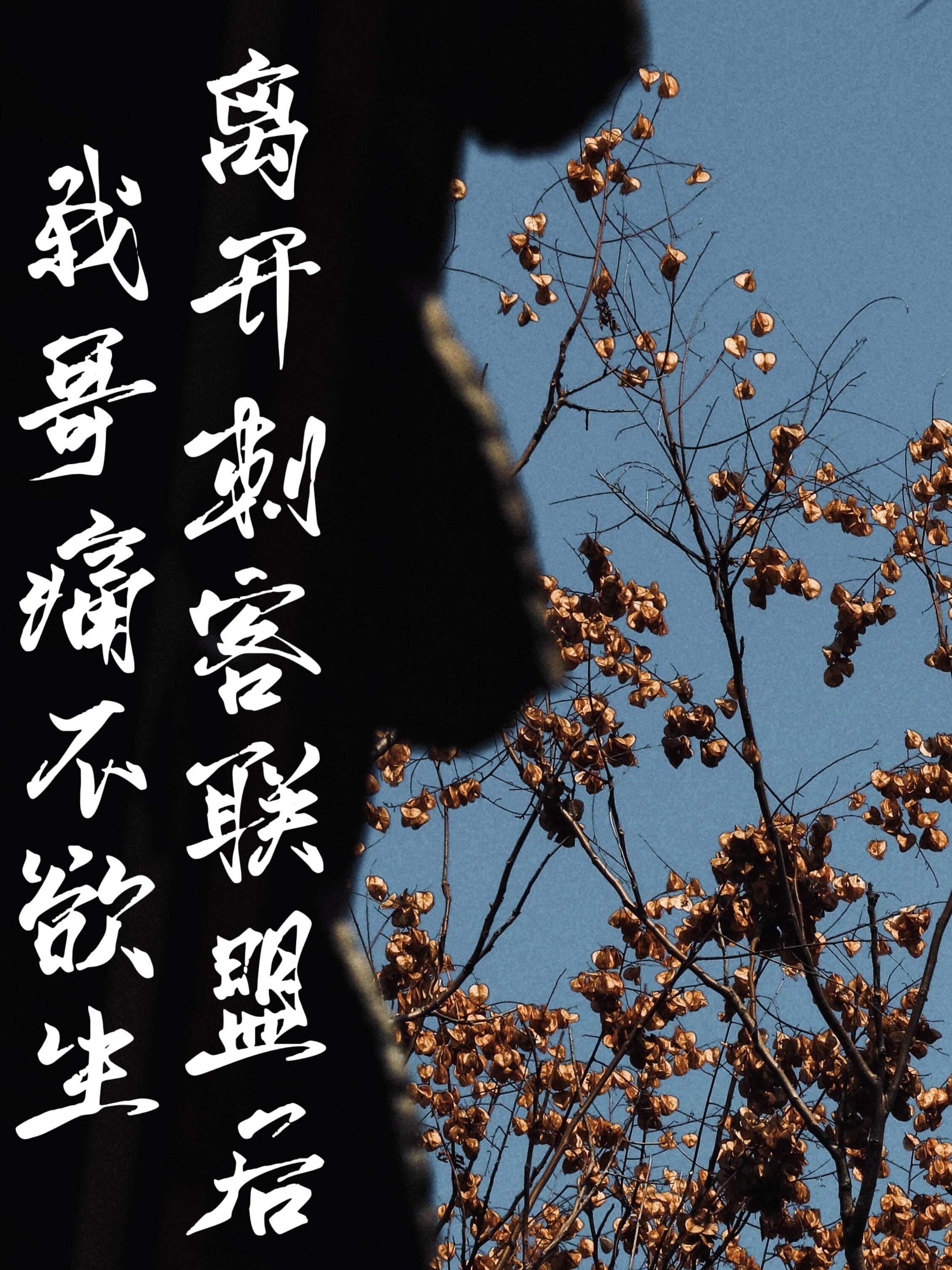 回到韦恩庄园我哥痛不欲生