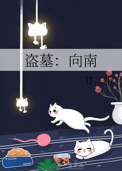 盗墓：向南